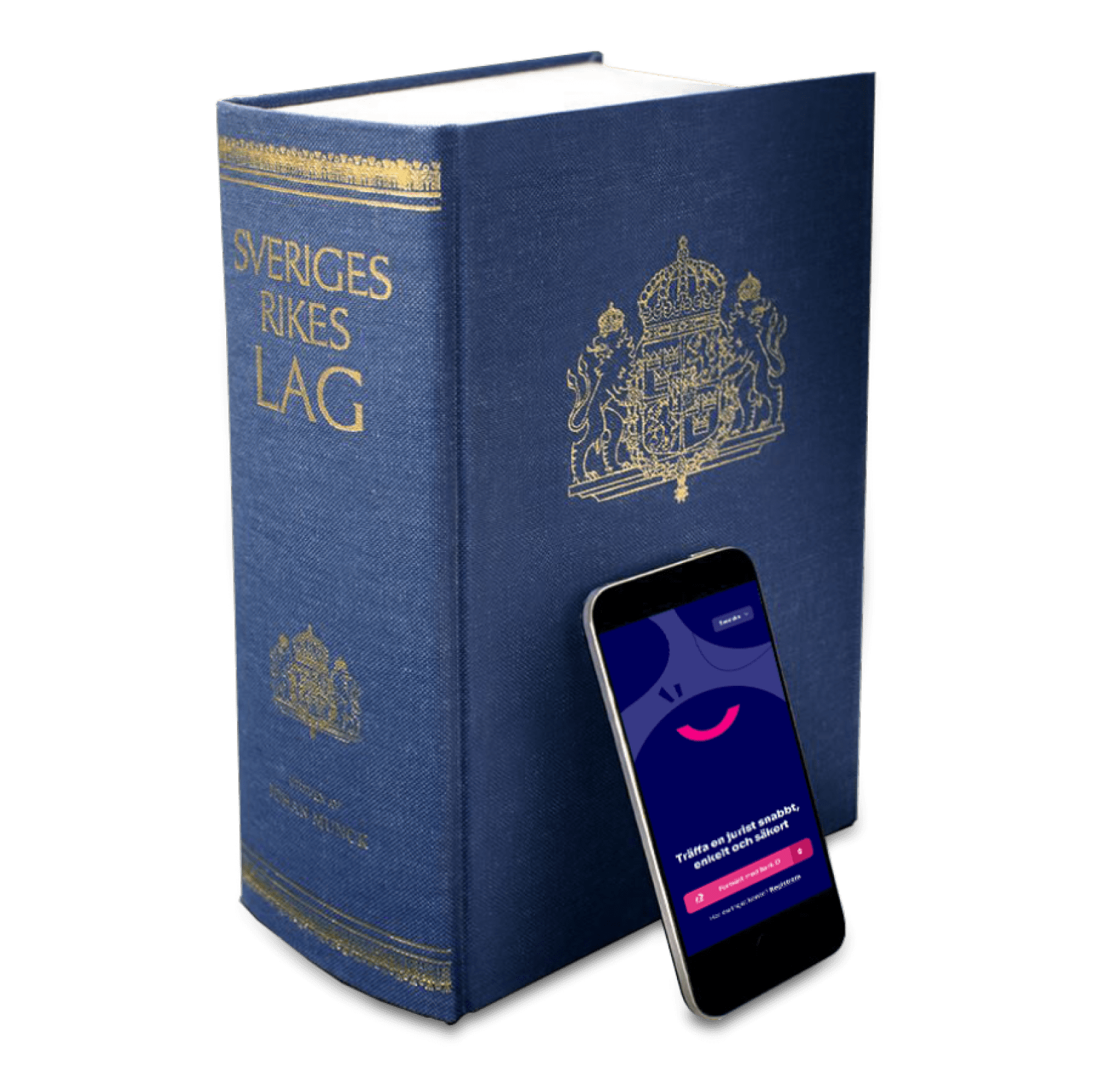 Continued need for legal assistance